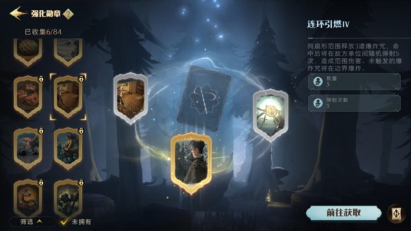 哈利波特魔法觉醒林中激斗勋章带什么好