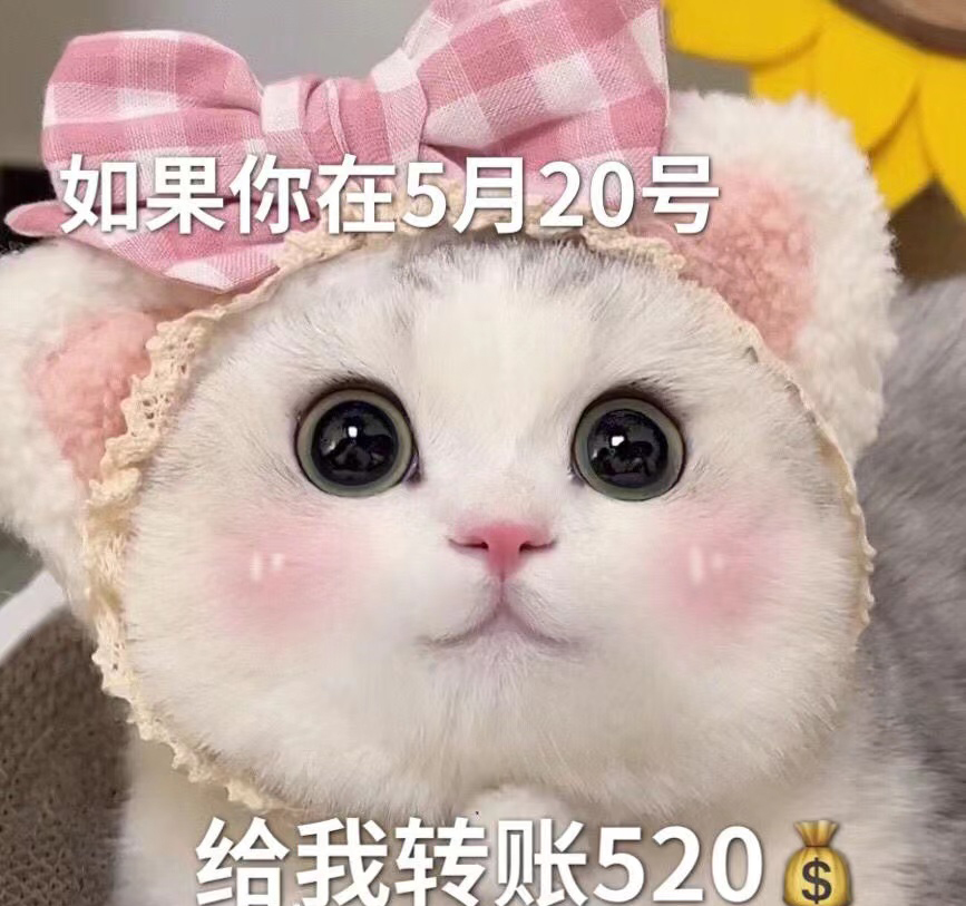 抖音520甜甜表情包大全分享