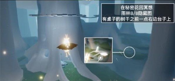 光遇秘密花园在什么地方？