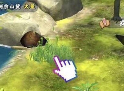 夺笋高手无价之宝极光金珠怎么获得？