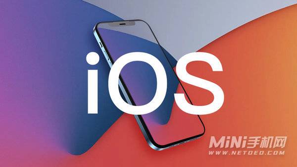 苹果 iOS 操作系统