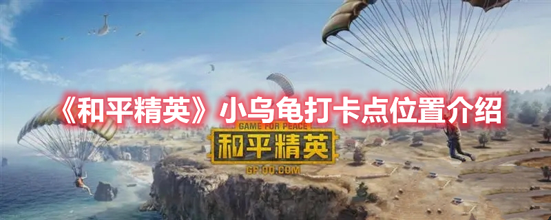 和平精英小乌龟打卡点有哪些