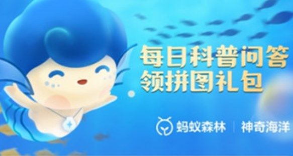 支付宝会进行夏眠的海洋动物是哪个