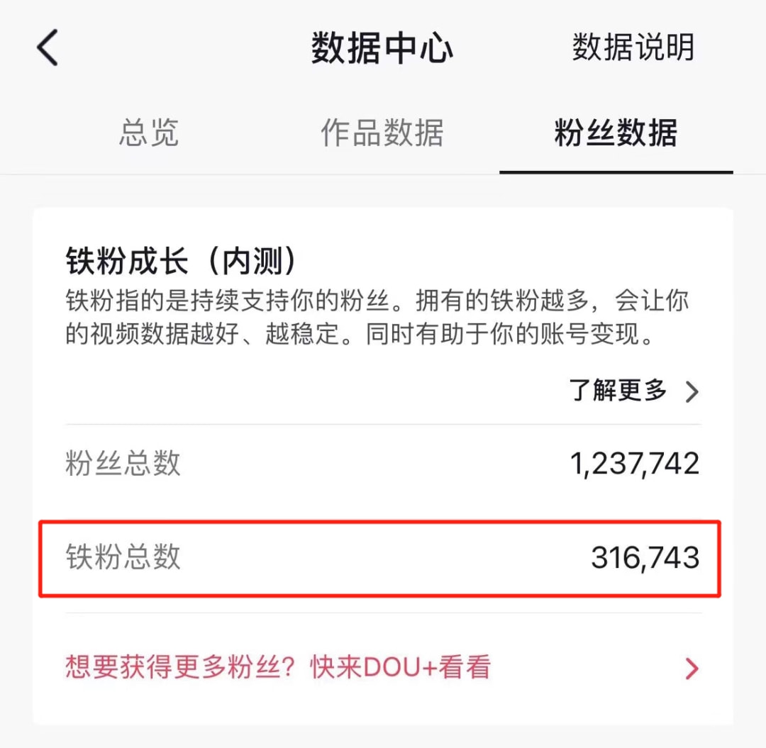 铁粉是什么梗