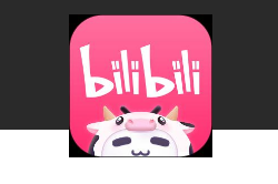 哔哩哔哩风纪委员会怎么申请