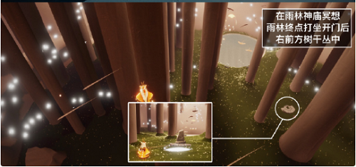 光遇6.28每日任务攻略2022