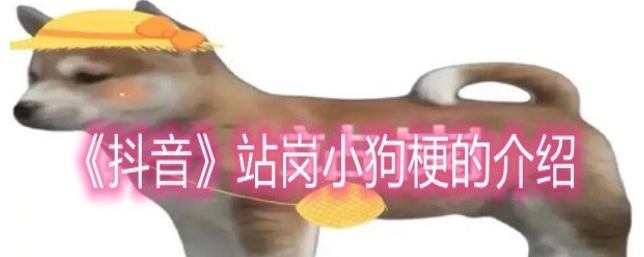 1656902061839620.png image.png