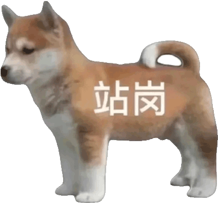 《抖音》站岗小狗梗的介绍