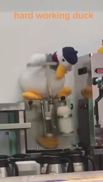 摇奶茶鸭是什么梗