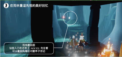 光遇7.8每日任务攻略2022