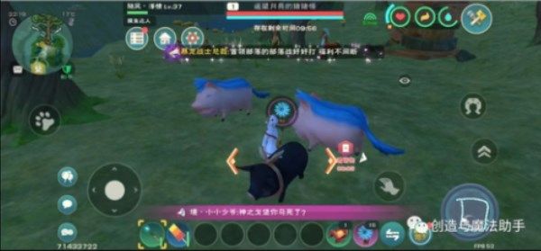 创造与魔法遥望月亮的猪猪怪怎么抓？遥望月亮的猪猪怪坐骑捕捉攻略[多图]图片1