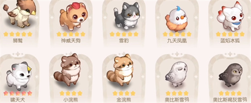 奥比岛手游宠物分布地点一览