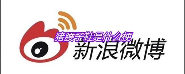 猪腰子鞋是什么梗