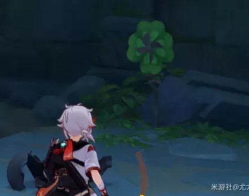 可以转动的风车