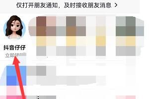 抖音仔仔是什么