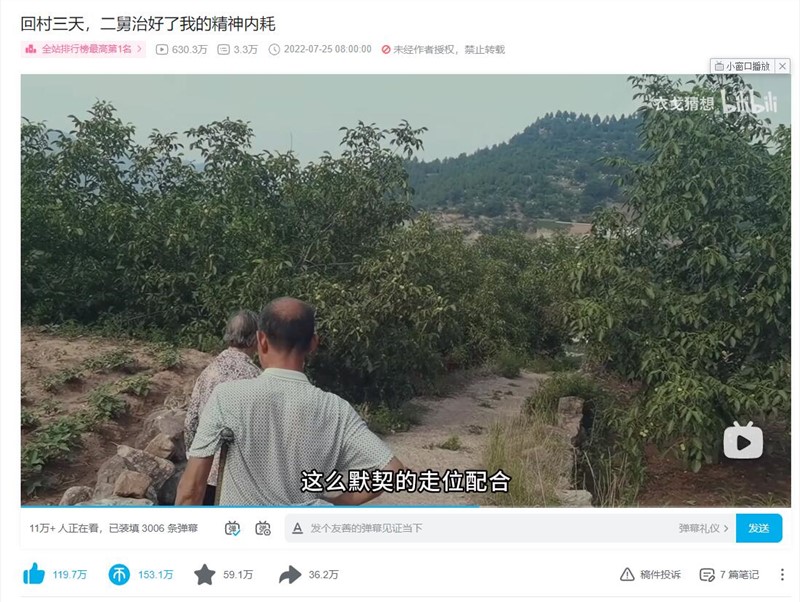 二舅治好了我的精神内耗是什么意思