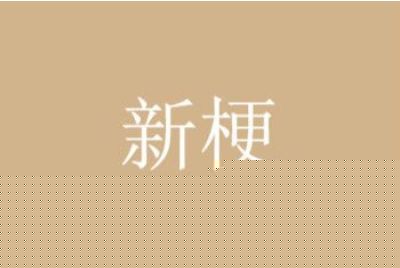 是你唯一的姐吗什么梗