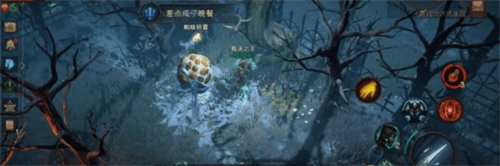 暗黑破坏神不朽差点成了晚餐攻略