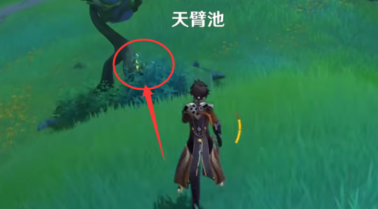 原神3.0版本草神瞳位置