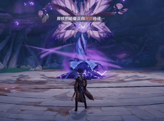 原神掣电树在哪？须弥掣电树位置分享[多图]图片11