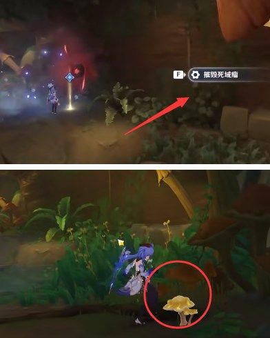 原神愿为一炊之梦任务攻略：3.0支线任务愿为一炊之梦通关流程[多图]图片6