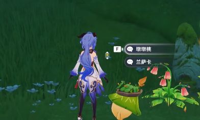 原神愿为一炊之梦任务攻略：3.0支线任务愿为一炊之梦通关流程[多图]图片10