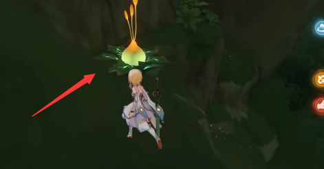 原神正法炬书任务攻略