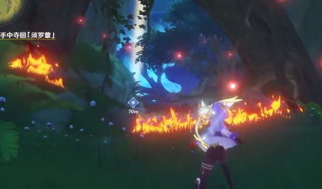 原神正法炬书星夜之章任务攻略