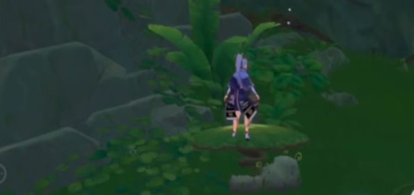 原神再次降低水位攻略 罗因贾篇阳卷降低水位机关解密流程[多图]图片6