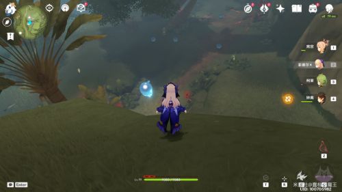 原神兰那罗位置大全 帮助76个兰那罗位置路线图[多图]图片28