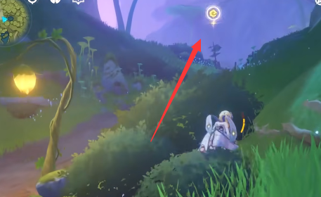 原神桓斯弥利底在哪种