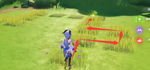 原神新蓓萌生后续任务攻略