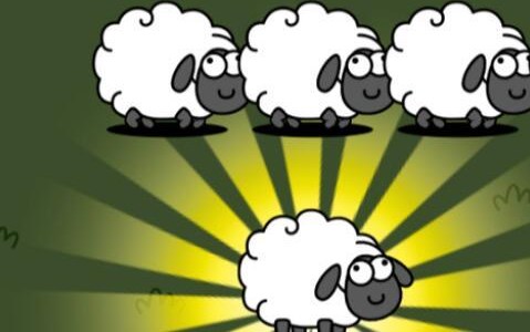 羊了个羊第二关有几张牌