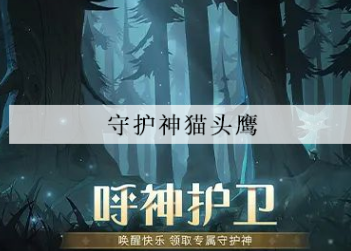 哈利波特魔法觉醒守护神猫头鹰怎么获得