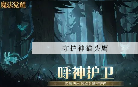 哈利波特魔法觉醒守护神猫头鹰怎么获得的