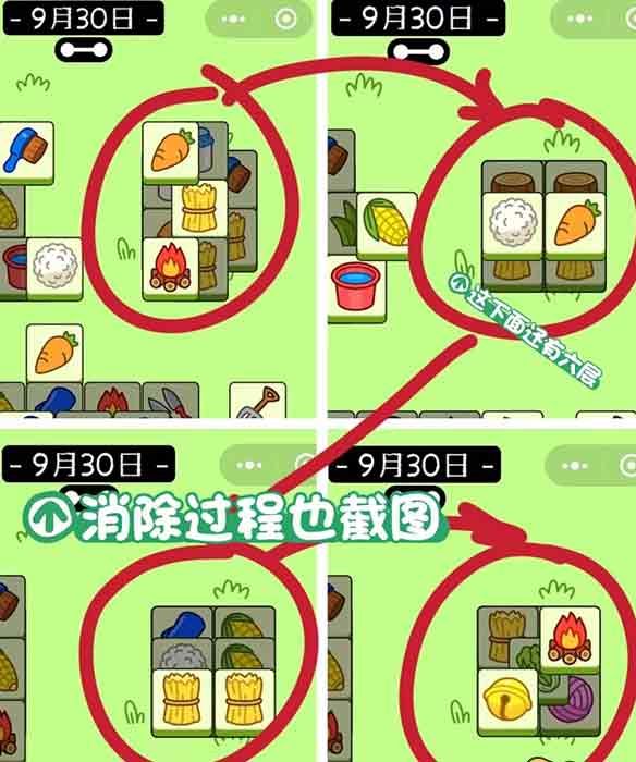 羊了个羊9.30关卡攻略 9月30日每日一关通关流程[多图]图片4