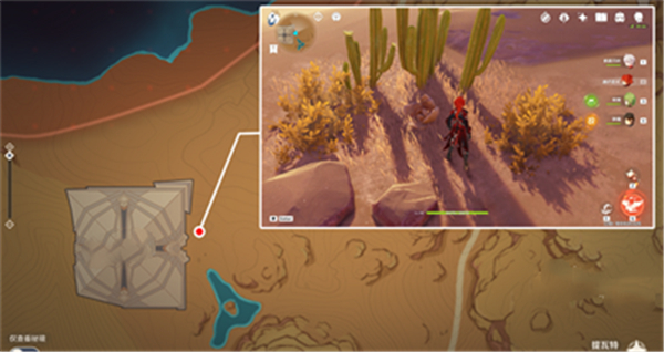 原神金蔷薇种子全收集攻略