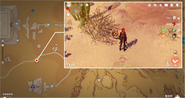 原神金蔷薇种子全收集攻略