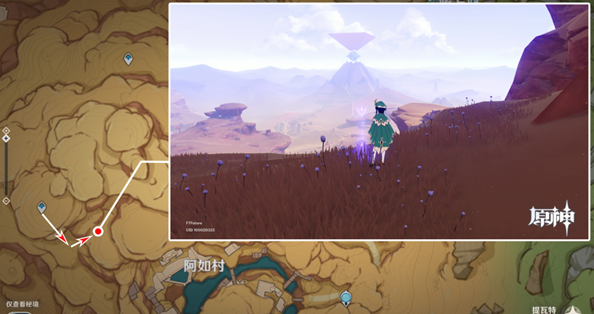 原神须弥沙漠景观点位置大全 3.1沙漠观景点位置分布图一览[多图]图片1