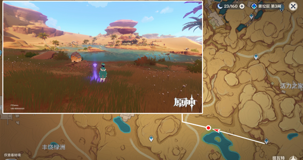 原神须弥沙漠景观点位置大全 3.1沙漠观景点位置分布图一览[多图]图片4