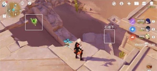 原神秘仪圣殿草神瞳在什么位置