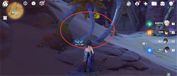 原神柽木最快采集路线一览