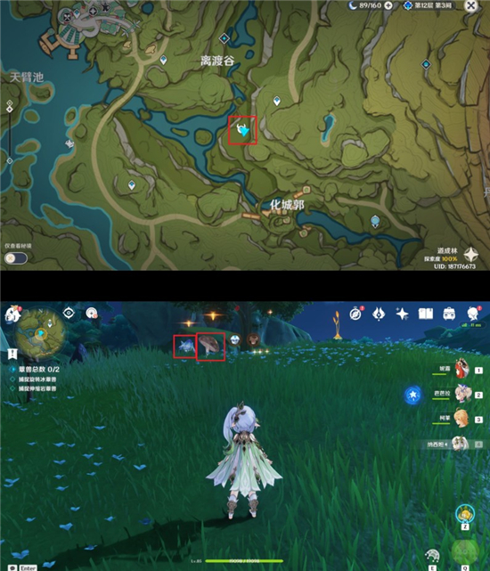 原神智巧灵蕈大竞逐第一天攻略最详细