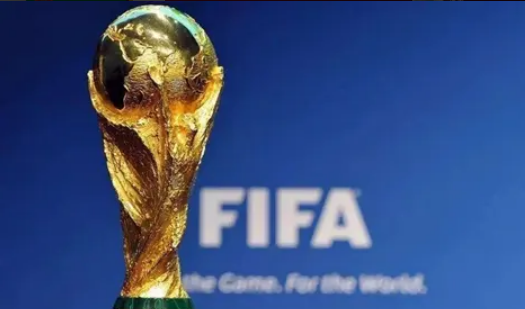 卡塔尔世界杯花了多少钱