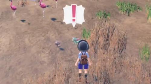 宝可梦朱紫准神怎么抓 准神捕捉攻略[多图]图片18