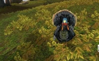 魔兽世界感恩节火鸡在哪