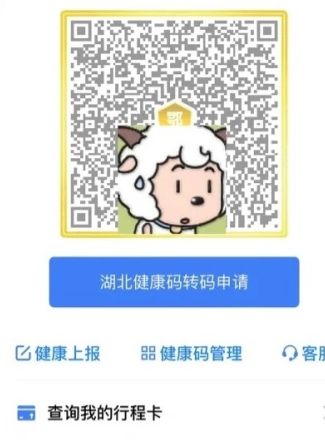 微信健康码变灰了武汉能用吗