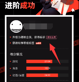 B站硬核会员是干嘛用的