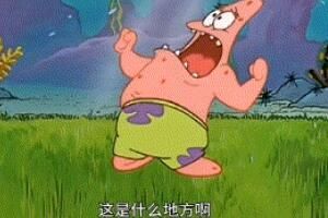 这是什么地方啊什么梗