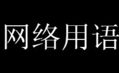 绝望的文盲指的是谁